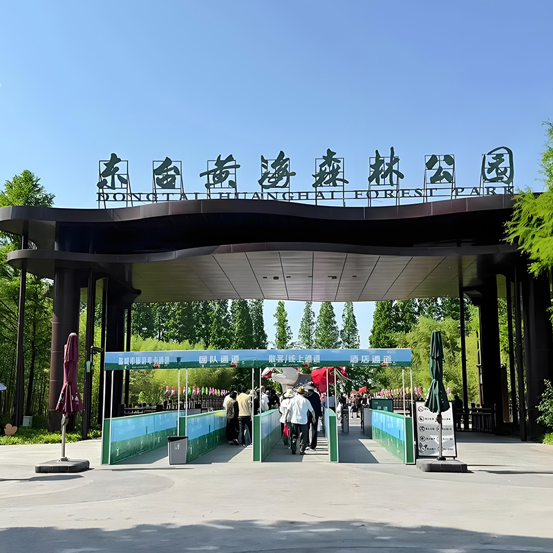 黄海森林公园.jpg