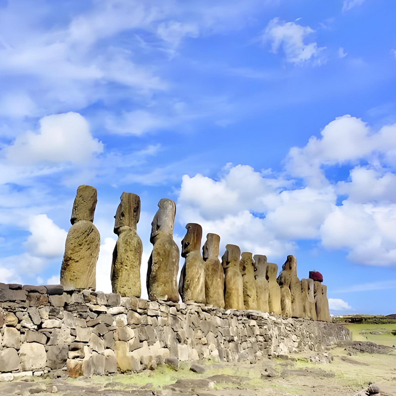 画板 1 拷贝 9.jpg 画板 1 拷贝 9.jpg