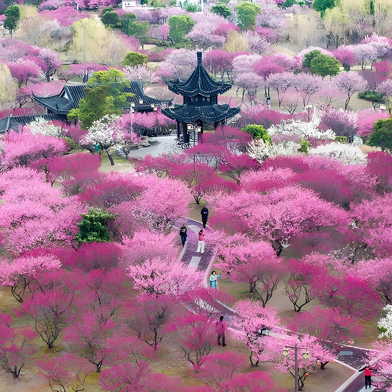 梅花湾景区.jpg